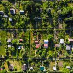 Tiny Plot Gardens, Ecology in big City, Aerial View